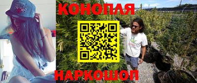 дживик Новокубанск