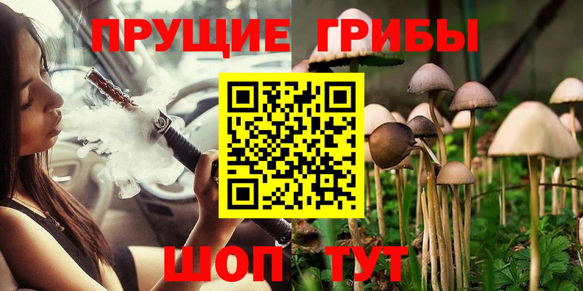 Шебекино  Галлюциногенные грибы Psilocybine cubensis  Вход с VPN 